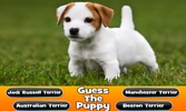 Guess The Puppy Breed Trivia screenshot 4