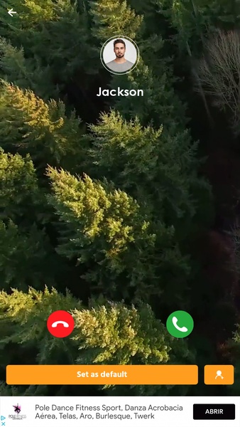 Caller Theme - Preview 3