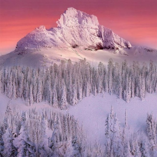 Nature Jigsaw Puzzles - Preview 5