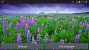 Sea Of Flowers screenshot 3