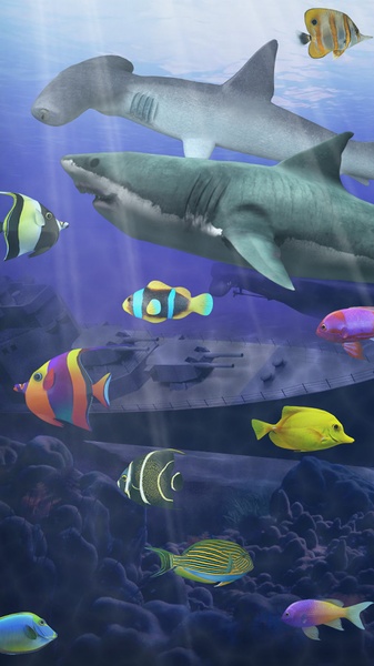 Shark aquarium - Preview 3