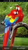 Parrot Live Wallpaper screenshot 7