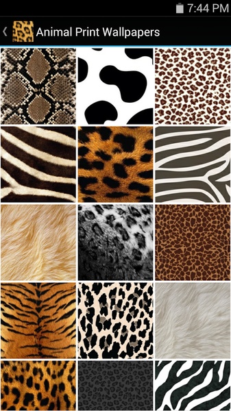 Animal Print Wallpapers - Preview 1