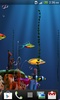 Live Fish Feed Wallpaper screenshot 3