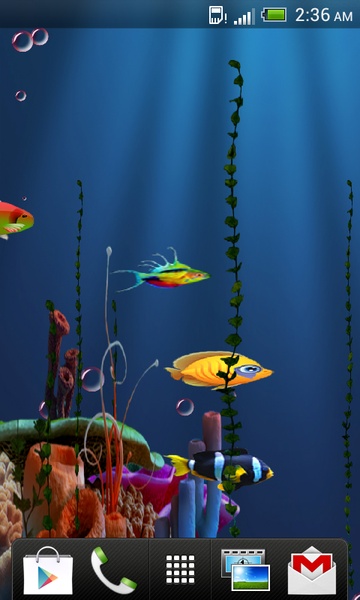 Live Fish Feed Wallpaper - Preview 3