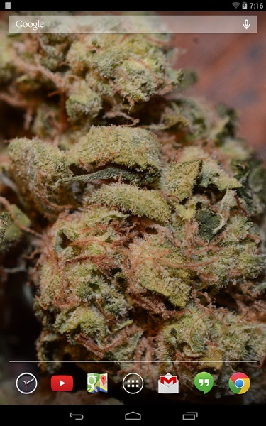 Sour Diesel Live Wallpaper - Preview 2
