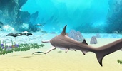 The Hammerhead Shark screenshot 14
