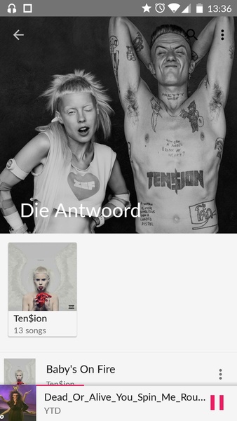 Timber Music Player - Preview 5