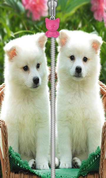 Cute Puppy Zip Screen Lock - Preview 6