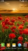 Autumn Flowers Live Wallpaper screenshot 5