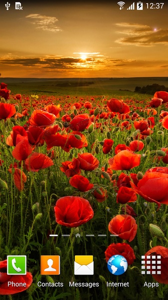Autumn Flowers Live Wallpaper - Preview 5
