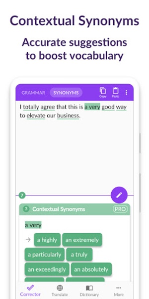 Proofreader - Preview 4