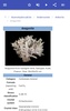 Nitrates and carbonates screenshot 6