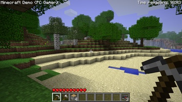 Minecraft screenshot 2