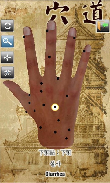 Handpoint - Preview 2