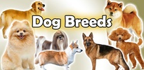 Dog Breeds 🐶 Golden Retriever | Rottweiler screenshot 22