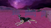 Greyhound Dog Simulator screenshot 4