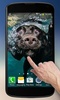 Dogs Underwater Live Wallpaper screenshot 5