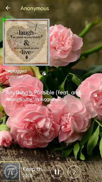Flower Music Player - Preview 3
