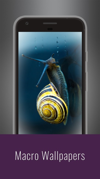 Macro Wallpapers - Preview 16