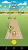 Snail Cricket - Cricket Game screenshot 3