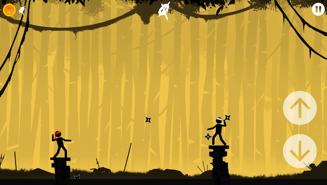 The Ninja - Preview 4