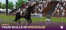 FEI Equestriad World Tour screenshot 9