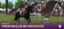 FEI Equestriad World Tour screenshot 8