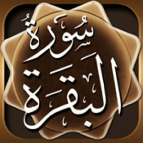Sourate Al Baqarah MP3 - Preview 7