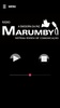 Rádio Marumby screenshot 2