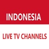 indonesia live tv channels screenshot 5