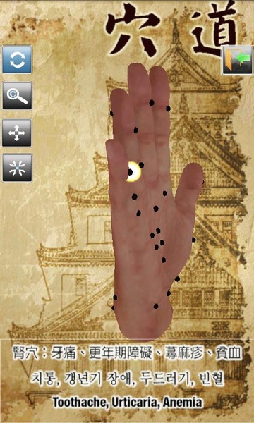 Handpoint - Preview 3