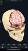 Skull Anatomy Pro. screenshot 12