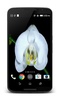 Orchid Video Live Wallpaper screenshot 1