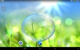 Spring Live Wallpaper screenshot 2