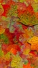 Autumn wallpaper screenshot 2