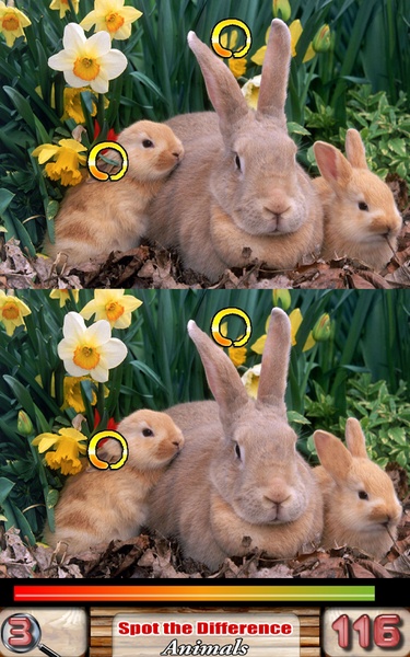 Spot the Difference Animals - Preview 5