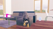 Rottweiler Dog Simulator screenshot 2