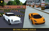 Indian Driving Test screenshot 2