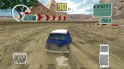 Dusty & Dirt Rally screenshot 6