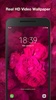 Rose Live Wallpaper screenshot 3