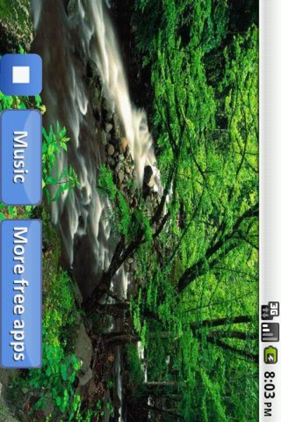 Nature sounds relax & sleep - Preview 2