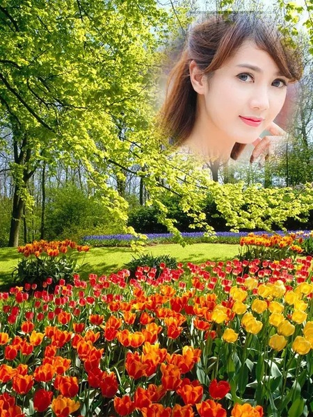 Spring Photo Frames - Preview 7
