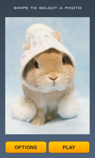 Cute Rabbits Puzzle - Preview 8