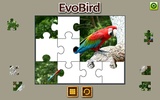 EVO BIRD screenshot 1