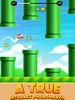 Flapping Flying Bird Game screenshot 1