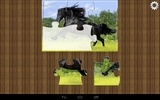 Horses Jigsaw Puzzles screenshot 3