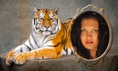 Tiger Photo Frames screenshot 2