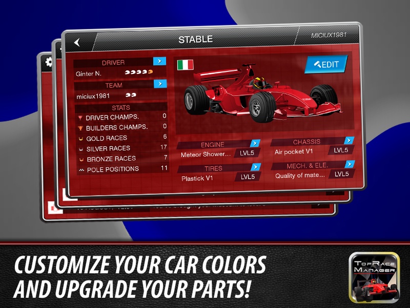Top Race Manager - Preview 14