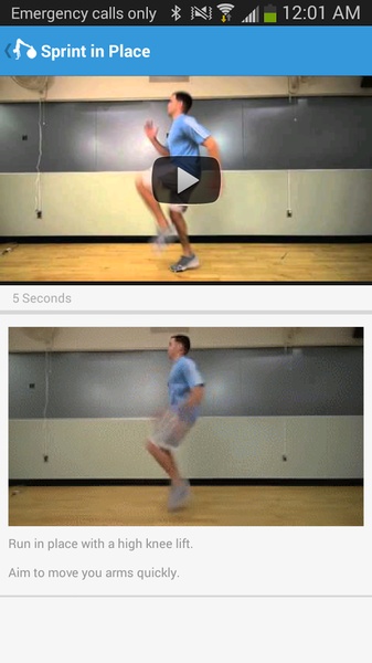 Home Workout Exercise Program - Preview 3